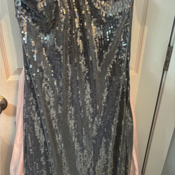 Hutch Strapless Silver Sequin Dress - Picture 5 of 5